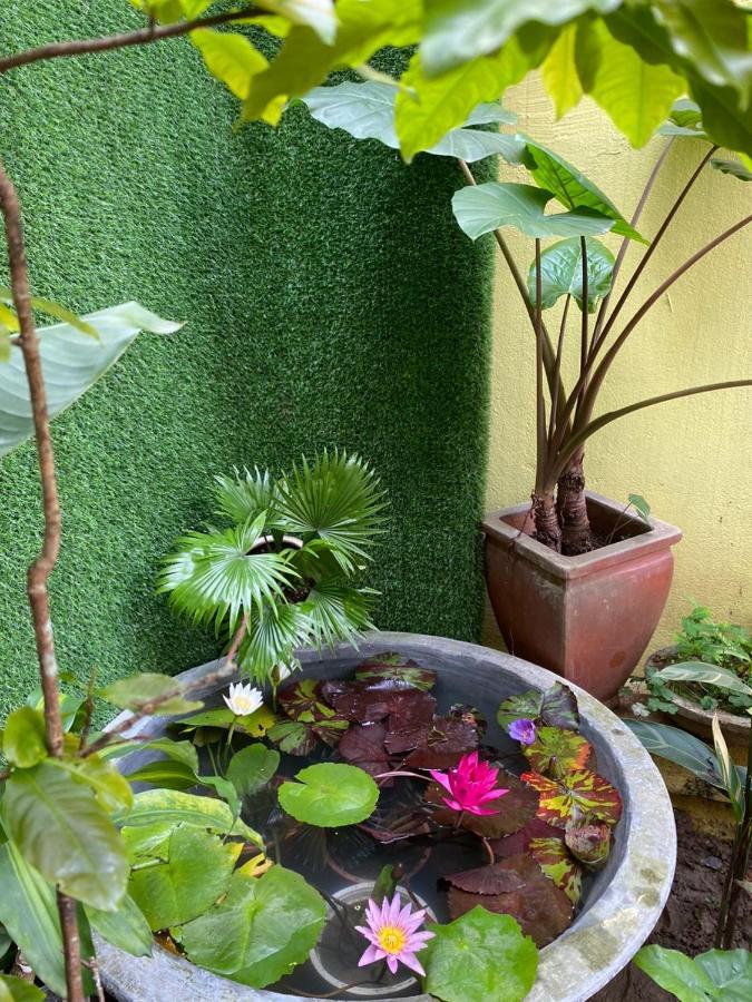 Seven Homestay Hue Exterior photo